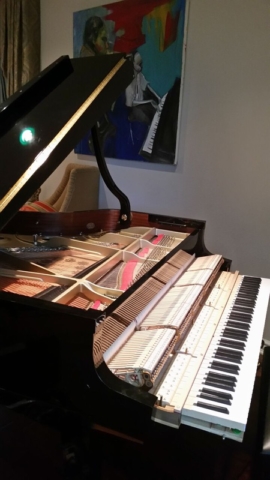 piano master craft piano tuning 16